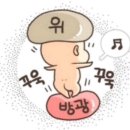 동서온누리약국 | 2023. 4. 28.(금) 22주차, 칠곡3지구 호동이국밥 얼큰 돼지찌개, 칠곡 개정, 읍천리 칠곡점 배달