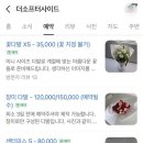 더소프터사이드