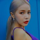 솔라플렉스 이미지