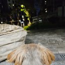 [수원 팔달구] 미니펍 후기