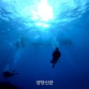 로타테크 이미지