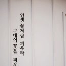 빛들케이크 이미지