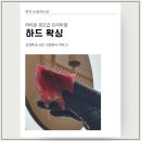 눈썹하는날