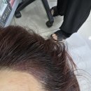 미앤유 헤어라인
