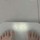 강남호랑이한약국 | 직장인 한약 다이어트 추천 | 강남 호랑이 한약국, 두달만에 -6kg, 통통에서 보통으로, 내돈내산
