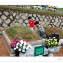 세창농장 이미지