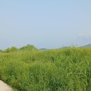 가술농장 Daum카페