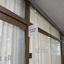 다산 속눈썹연장 자연스럽고 또렷한 눈매 올데이래쉬 후기