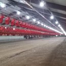 장성양계장 이미지