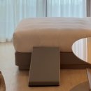 위드펫(with pet) | 강릉 신라모노그램 애견동반 후기(펫룸, 펫패키지, 내돈내산)