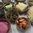 황토오리 이미지