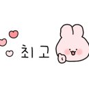 만리포뚱돼지 이미지
