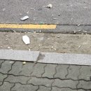 더푸른환경 네이버블로그