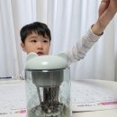 공책과연필 | 초등학생 입학 선물 고민 끝 프로살림 전동 자동 연필깎이 사용 후기