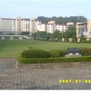 잔디밭 이미지
