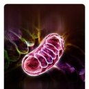 달러성형외과의원 이미지