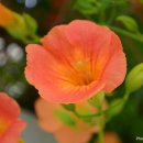 뜰과풍경 이미지