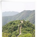 개봉3교 | 개미.. 창원 대암산~비음산의 매력에 빠져 버렸어요.. 3탄^^*