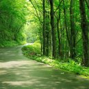 남이섬리베라펜션 이미지