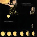 달베어 케이크 이미지