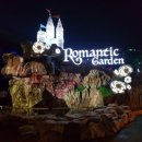 플라워디자인(야간) 이미지