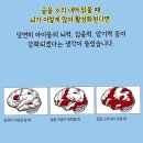 진필환경 이미지