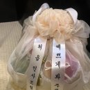 우리농산 | W1 | 양가 첫인사 후기 (우주농산 / 긴자 / 신정노을 / 정담향)