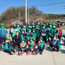 호법 코스모스길 이미지