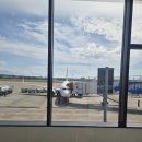 수협쇼핑(온라인몰) | 신세계면세점 온라인몰 쇼핑 리스트 구매후기