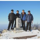 철원여자중학교 티스토리