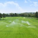 라온골프 이미지