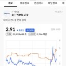 팜스네트워크