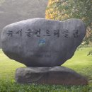 뉴서울프로샵