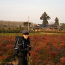 산풍목장 이미지