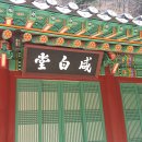 [행복대학] 한문서예 및 천자문 | 병풍서 대가 풍헌(豊軒) 고하윤 선비, “심오한 뜻이 담긴 전통 서예, 적극 계승하고 발전시켜야”