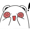 신세계안경콘택트 이미지