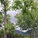 자연밸리 관광농원 이미지