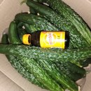 우성농장 | 농라에프 나도 CREATOR - 고향지킴이 '가시오이' 구매 후기