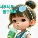 송연 이미지