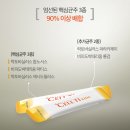 수키즈