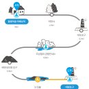 제주 올레길 8코스 이미지