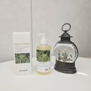 더드림메디 이미지