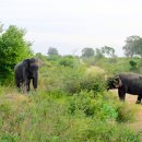 코끼리PC 이미지