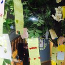 순대나라 이미지