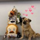 뮤지컬, 연기, 예능 다 가진 연기 괴물 배우 조승우