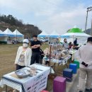 10/27 수제 주방비누 만들기 | 2026. 생거진천 농다리축제 꿀팁 벚꽃 농다리산책코스 추천▷ 내돈내산 진천맛집 알라팔라 화덕피자 후기