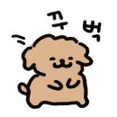 아이몽 애견 유치원 이미지