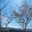 의령나루캠프 이미지