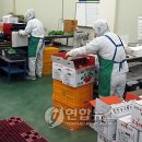 순천농협농산물산지유통센터 이미지