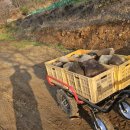 완영농장 이미지